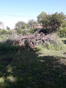 Photo de galerie - Évacuation déchets - Gravats