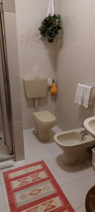 Photo de galerie - Pose de sanitaires, WC, lavabo, bidet,et robinetterie douche 