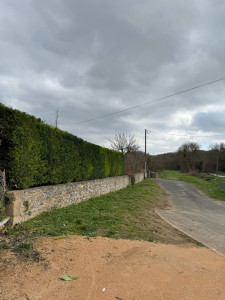 Photo de galerie - Taille de haies et d'arbustes