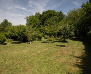 Photo de galerie - Tonte 