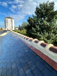 Photo de galerie - Réparation d’un faîtage en ciment 