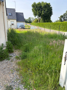 Photo de galerie - Tonte de pelouse - Débroussaillage