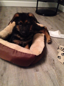 Photo de galerie - Voilà on termine cet album par moi bébé 
Je m’appelle Joy