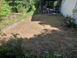Photo de galerie - Tonte / Débroussaillage