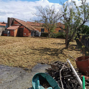 Photo de galerie - Debroussaillage effectué