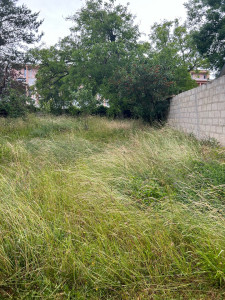 Photo de galerie - Avant 