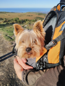 Photo de galerie - En balade mais je commençais à fatiguer 