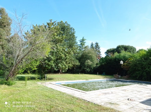 Photo de galerie - Tonte pelouse, taille de haie et entretien piscine. 