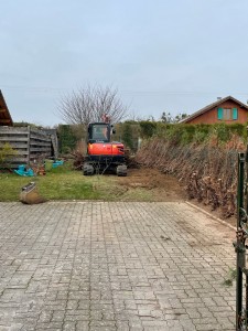 Photo de galerie - Elagage et coupe d'arbres