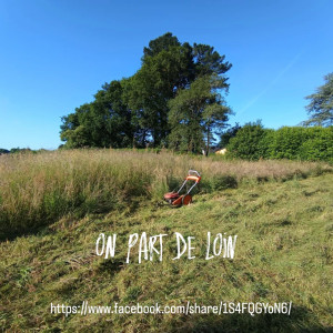 Photo de galerie - Quelques mois sans entretien..... 