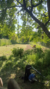 Photo de galerie - Cultivé la terre