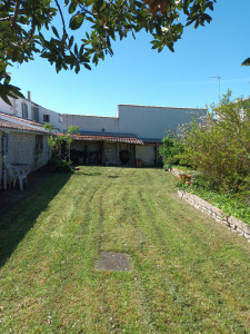 Photo de galerie - Tonte de pelouse - Débroussaillage