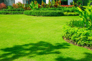 Photo de galerie - Jardinier