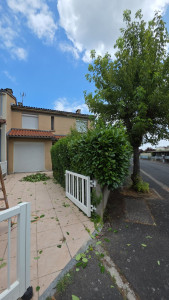 Photo de galerie - Taille de haies et d'arbustes