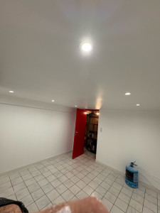 Photo de galerie - Peinture - Tapisserie