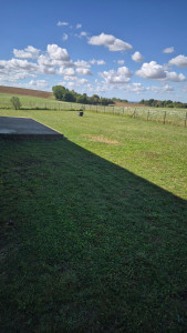 Photo de galerie - Entretient pelouse 