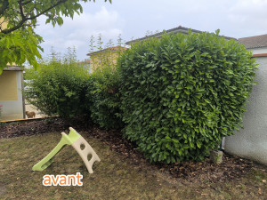 Photo de galerie - Avant 