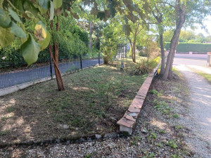 Photo de galerie - Tonte de pelouse - Débroussaillage
