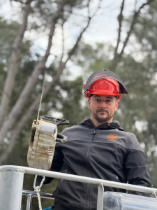 Photo de galerie - Journée d'abatage par démontage avec nacelle