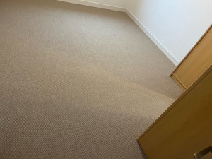 Photo de galerie - Pose d’une moquette 