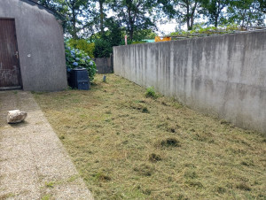 Photo de galerie - Tonte de pelouse - Débroussaillage