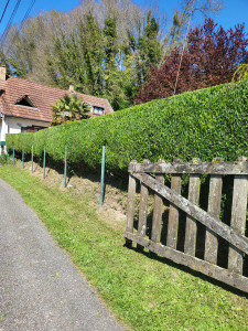 Photo de galerie - Après intervention 