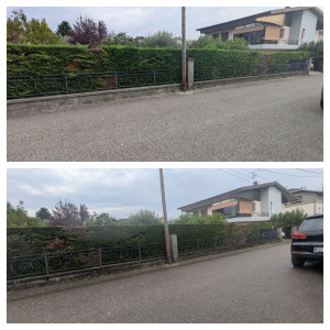 Photo de galerie - Taille de haies et d'arbustes