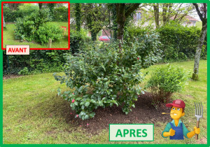 Photo de galerie - Désherbage - Mars 2025