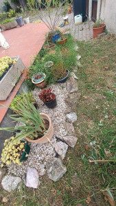 Photo de galerie - Désherbage manuel jardinière 