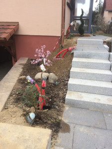 Photo de galerie - Paysagiste - Aménagement du jardin