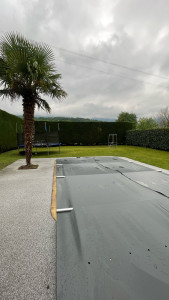 Photo de galerie - Taille de palmier de 4m50 de hauteur