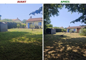 Photo de galerie - Tonte pelouse 