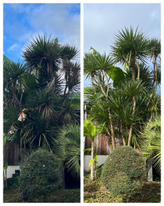 Photo de galerie - Jardinier