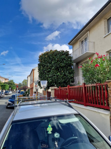 Photo de galerie - Elagage et coupe d'arbres