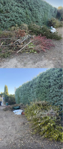 Photo de galerie - Évacuation déchets - Gravats