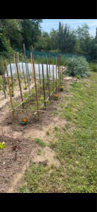 Photo de galerie - Potager extérieur 