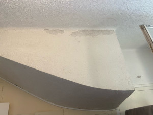 Photo de galerie - Plâtrerie - Murs - Plafonds