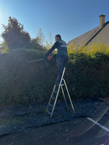 Photo de galerie - Taille de haie 