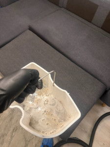 Photo de galerie - Désinfecter 