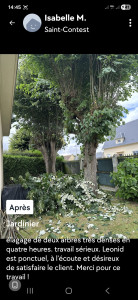 Photo de galerie - Elagage des arbres