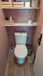 Photo de galerie - Remplacement d'un WC.
