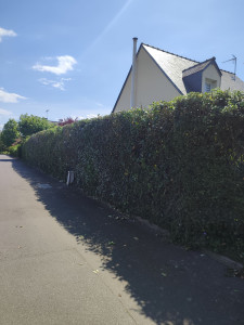 Photo de galerie - Après (3)