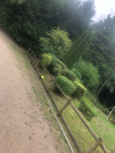 Photo de galerie - Taille d’Arbuste 