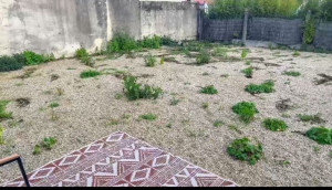 Photo de galerie - Jardin gravier avant