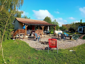 Photo de galerie - Garde chien