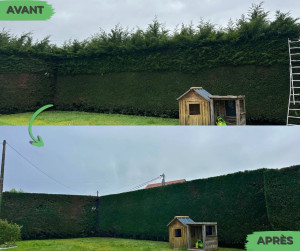 Photo de galerie - Taille de haies et d'arbustes