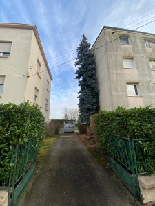 Photo de galerie - Abattage d'un sapin devenu gênant par la taille pour les propriétaires et représentant un risque structurel en cas de chute.