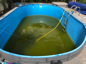 Photo de galerie - Entretien piscine