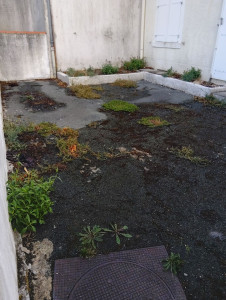 Photo de galerie - Tonte de pelouse - Débroussaillage