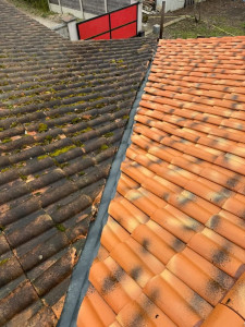 Photo de galerie - Nettoyage toiture basse pression 